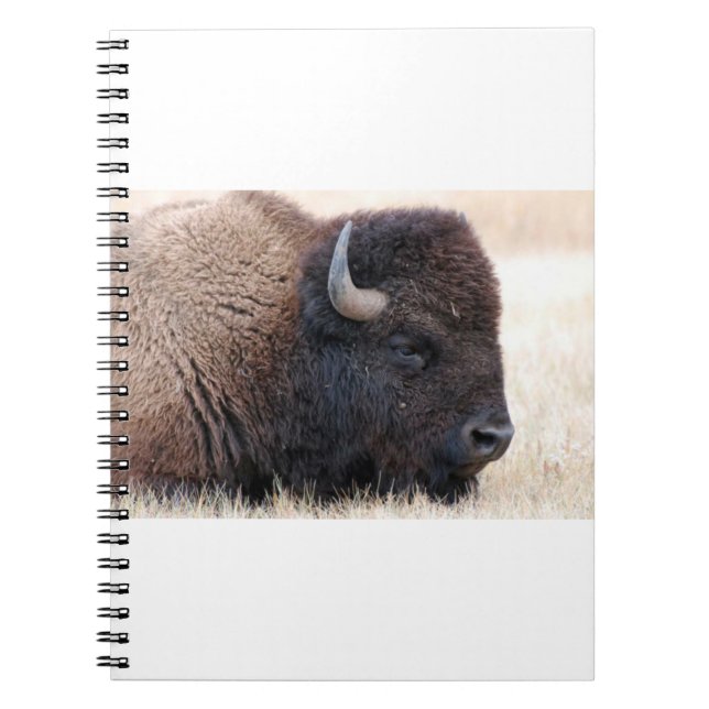 Buffalo Bison Up Close Notebook (Front)