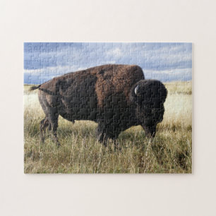 Buffalo Bull Jigsaw Puzzle