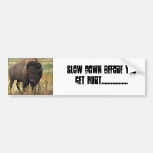 BUFFALO BUMPER STICKER