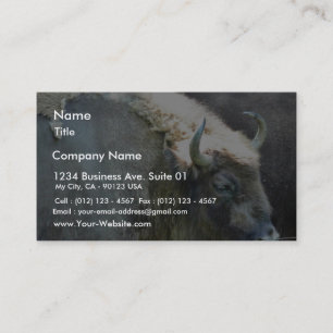 Buffalo Business Card