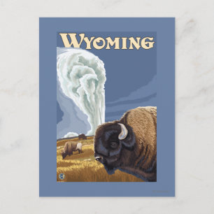 Buffalo by Old Faithful Vintage Travel Poster Postcard