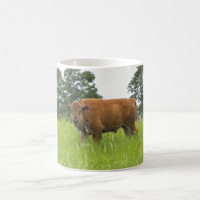 Buffalo Calf Coffee Mug (Center)