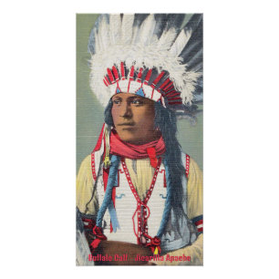 Buffalo Calf Native American Poster