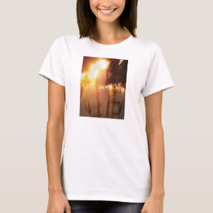 Buffalo Calf Road Woman (Brave Woman) T-Shirt