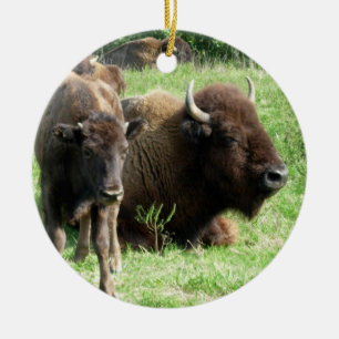 Buffalo can Calf Ornament