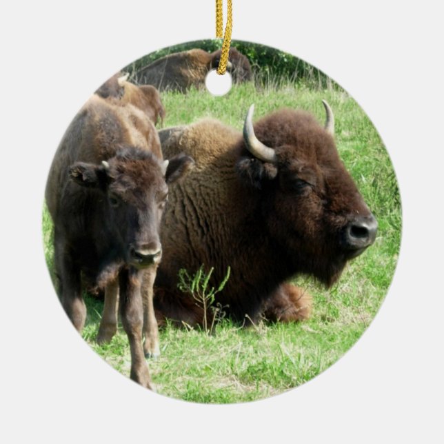 Buffalo can Calf Ornament (Front)