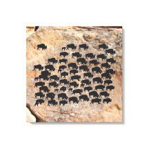 Buffalo