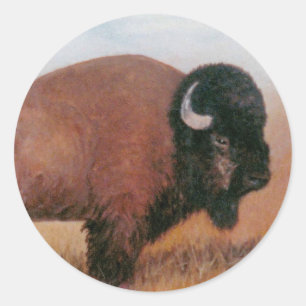 Buffalo Classic Round Sticker