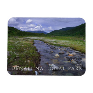 Buffalo Creek, Denali National Park and Preserve Magnet