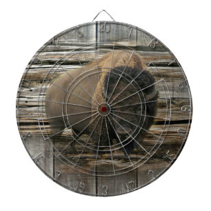 Buffalo Dartboard