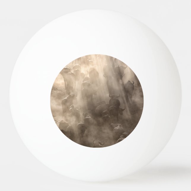 Buffalo Dust Ping Pong Ball (Back)