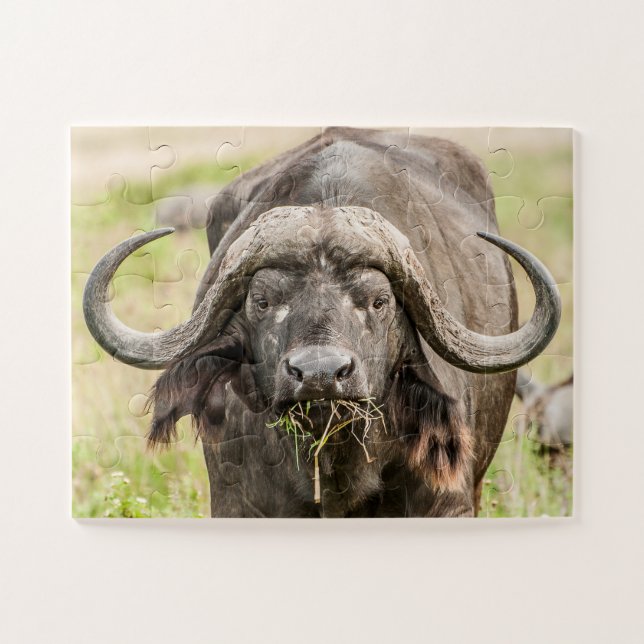 Buffalo Grazing Jigsaw Puzzle (Horizontal)