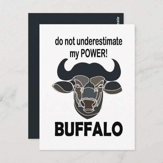 Buffalo Head Bison Animal Buffalo Postcard (Front/Back)