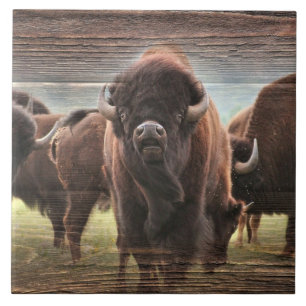 Buffalo Herd Ceramic Tile