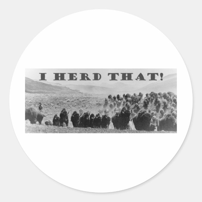 buffalo herd that playaaa classic round sticker (Front)