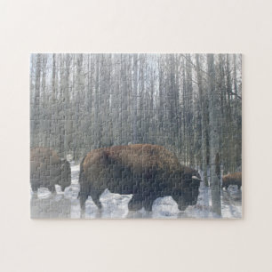 Buffalo in the Snow Jigsaw Puzzle