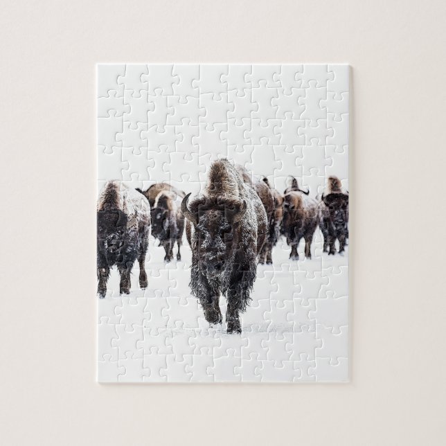 Buffalo Jigsaw Puzzle (Vertical)