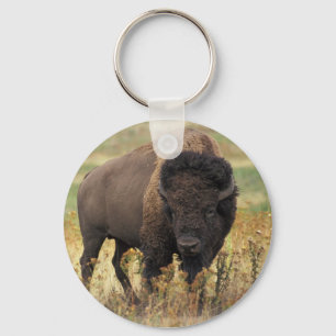Buffalo Key Ring