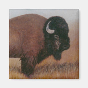 Buffalo Magnet
