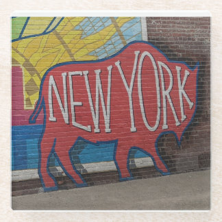 Buffalo New York Coaster
