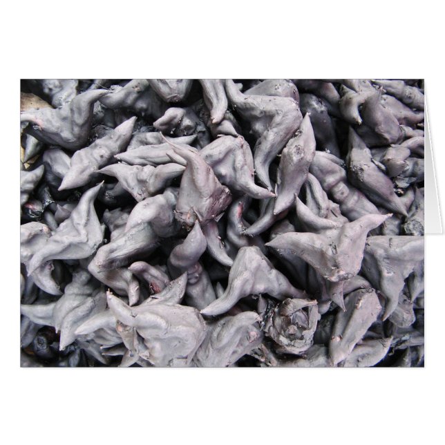 Buffalo Nuts - Water Caltrop Card (Front Horizontal)