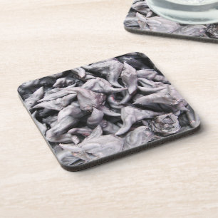 Buffalo Nuts - Water Caltrop Coaster