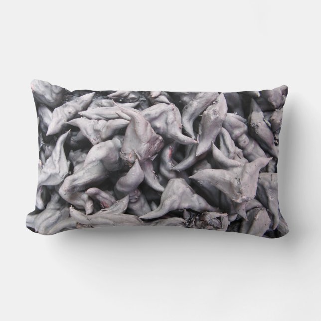 Buffalo Nuts - Water Caltrop Lumbar Cushion (Front)