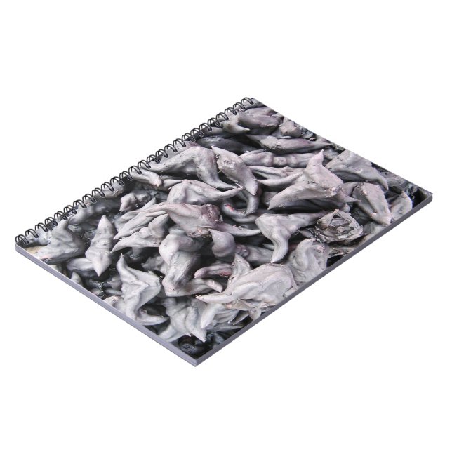 Buffalo Nuts - Water Caltrop Notebook (Left Side)