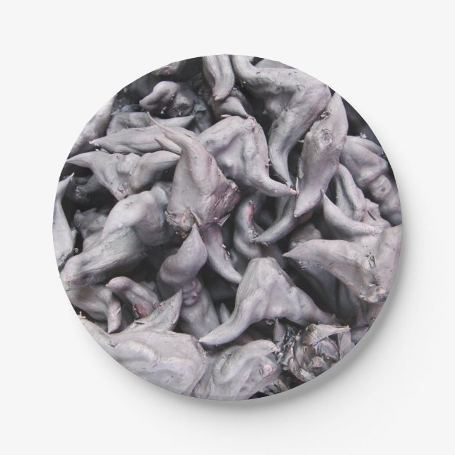 Buffalo Nuts - Water Caltrop Paper Plate (Front)