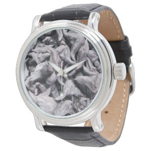 Buffalo Nuts - Water Caltrop Watch
