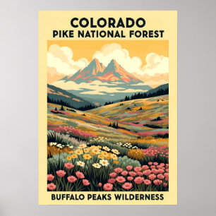 Buffalo Peaks Wilderness V01 Poster
