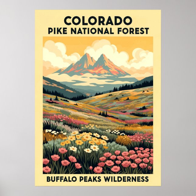 Buffalo Peaks Wilderness V01 Poster (Front)
