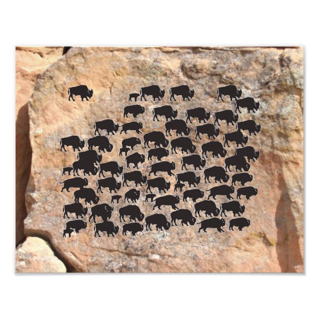 Buffalo Photo Print (Front)