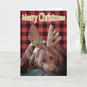 Buffalo Plaid Labrador Wearing Antlers Photograph Holiday Card