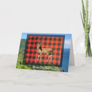 Buffalo Plaid Woodland Deer Christmas Card