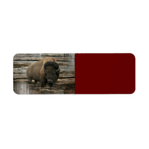 Buffalo Return Address Label