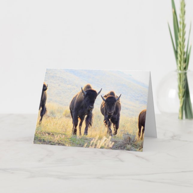 Buffalo Running Greeting Card (Front)