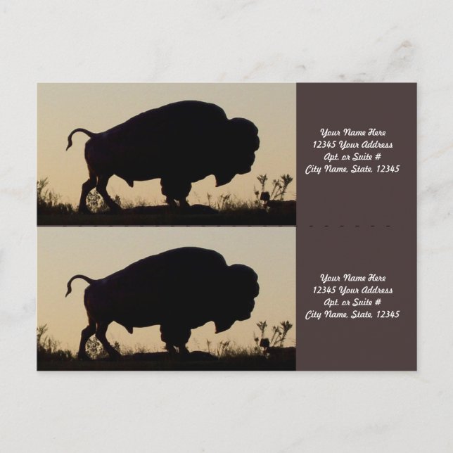 Buffalo Silhouette Bookmarkers Postcard (Front)