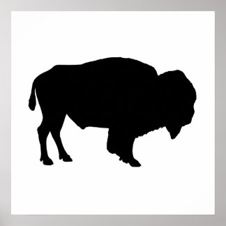 Buffalo Silhouette Poster