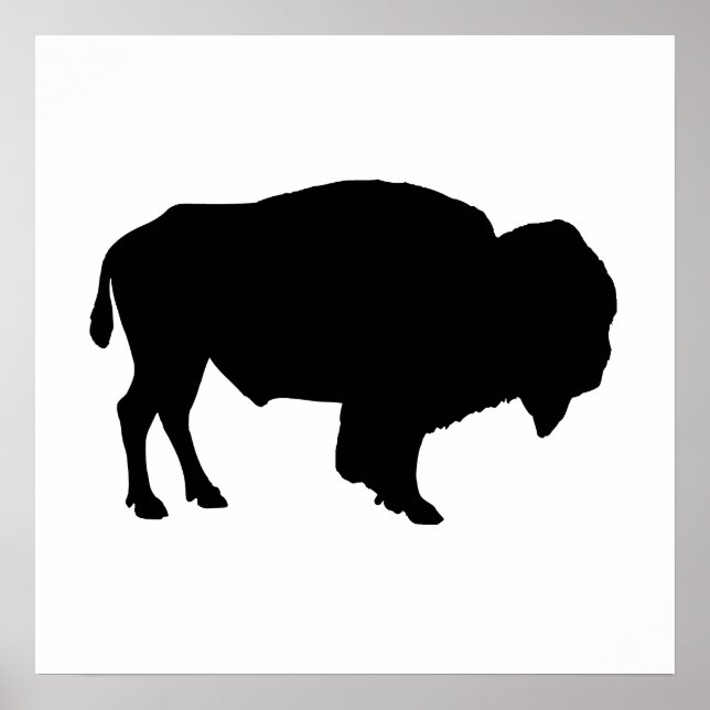 Buffalo Silhouette Poster (Front)