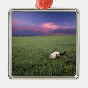 Buffalo Skull in Prairie Grass near Medora Metal Ornament