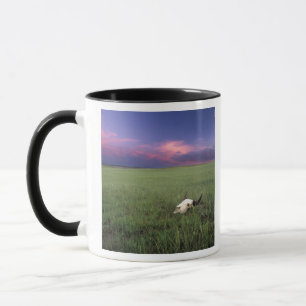 Buffalo Skull in Prairie Grass near Medora Mug