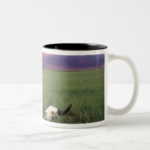 Buffalo Skull in Prairie Grass near Medora Two-Tone Coffee Mug