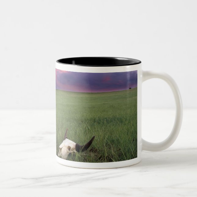 Buffalo Skull in Prairie Grass near Medora Two-Tone Coffee Mug (Right)