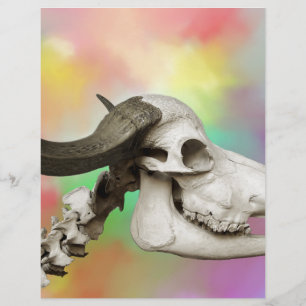 Buffalo Skull on a Watercolor Background