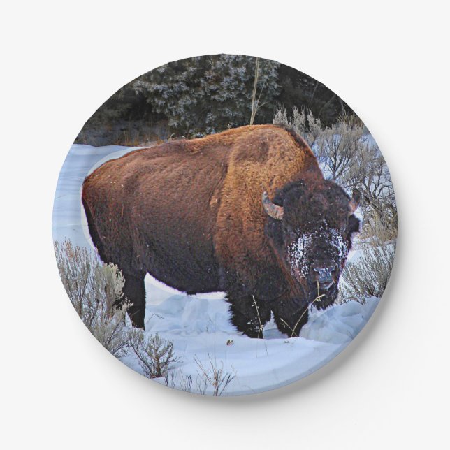 Buffalo Snow Photo Paper Plate (Front)