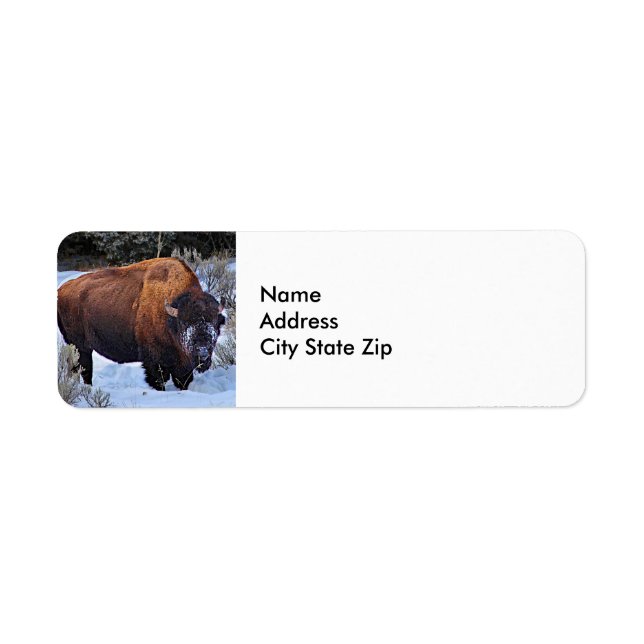 Buffalo Snow Photo Return Address Label (Front)