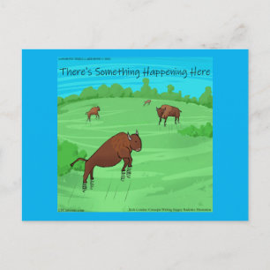 Buffalo Springfield Funny Rick London  Postcard