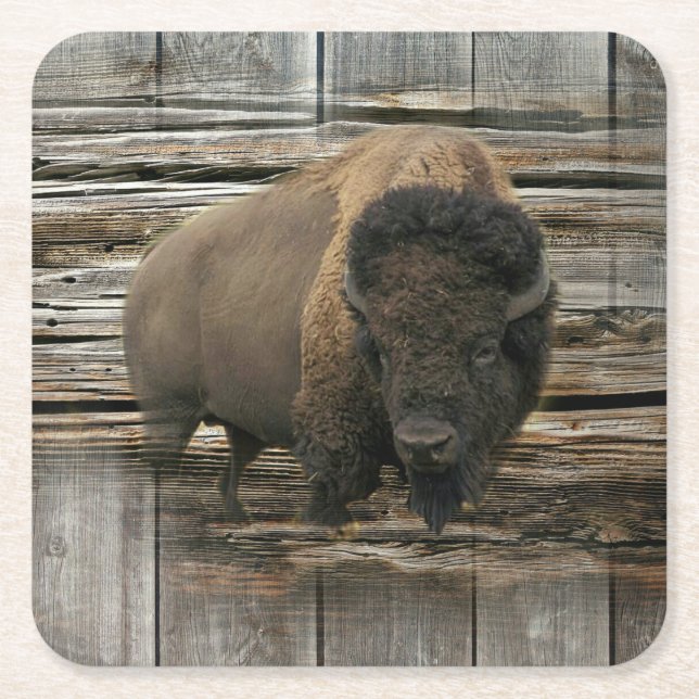 Buffalo Square Paper Coaster (Front)