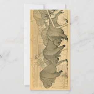 Buffalo Stampede, Savage Iowa, 1923 by Grant Wood Thank You Card